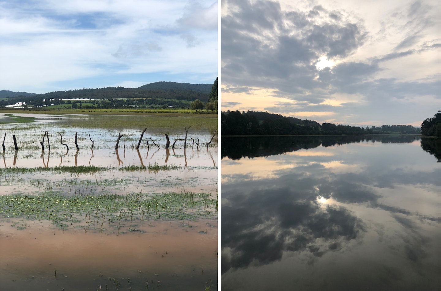 Left and right, Lake Umecuaro, Mexico. Photo: Claire Reynes