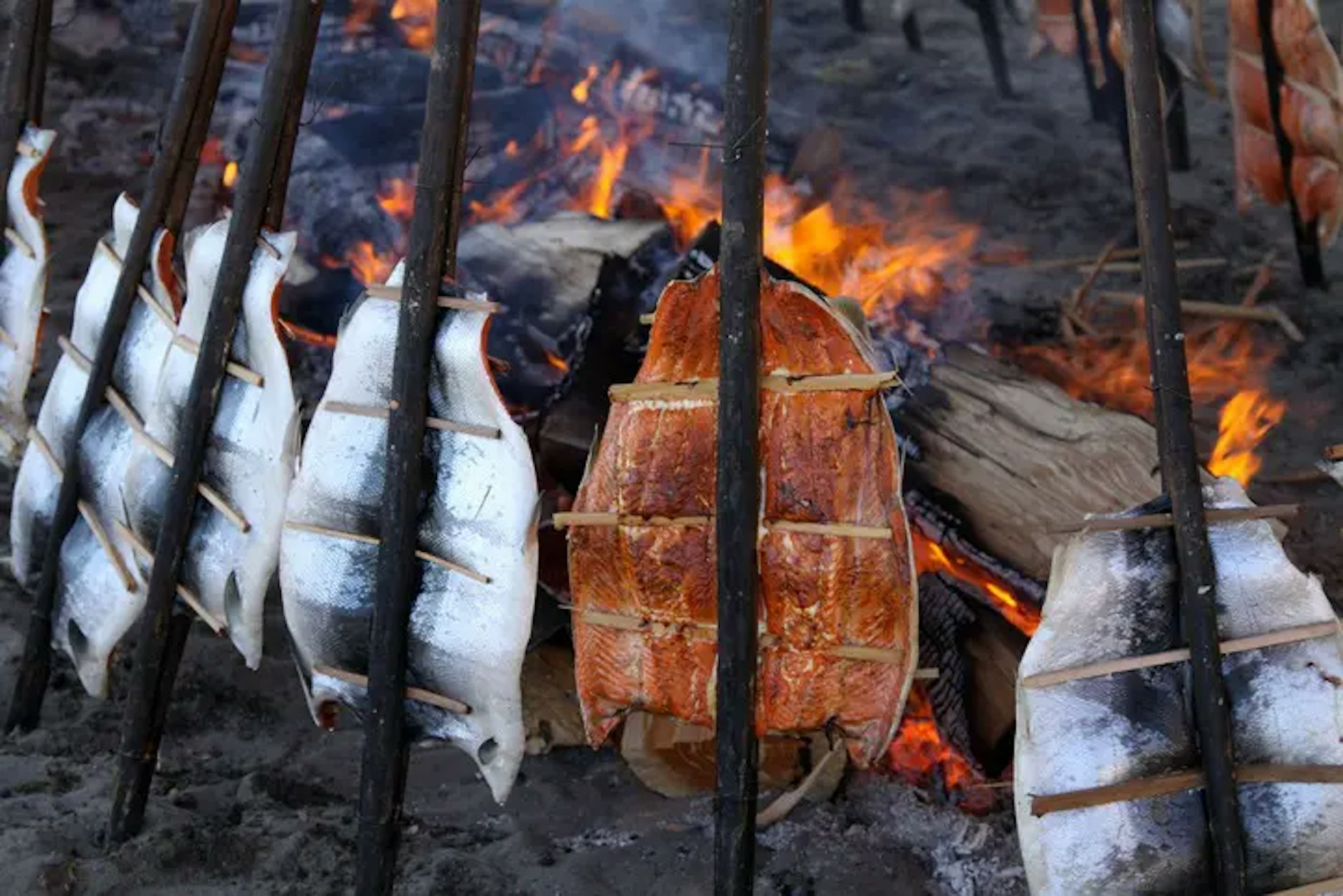 A typical salmon bake