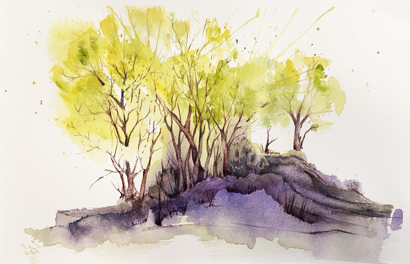 Watercolors, United States