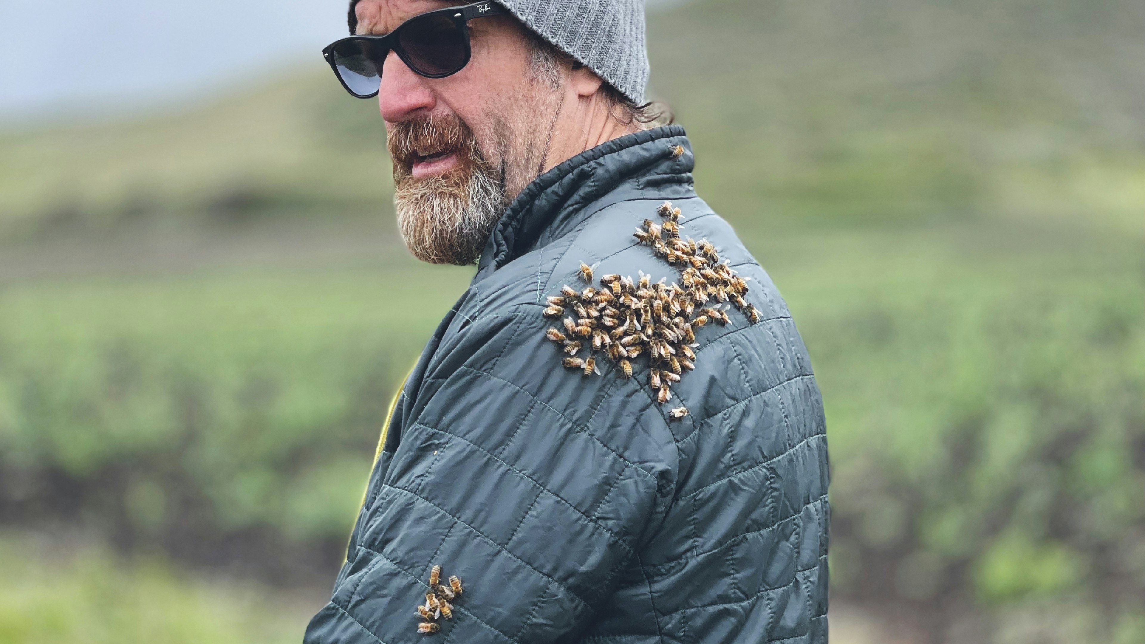 The Art of Regenerative Beekeeping with Rob