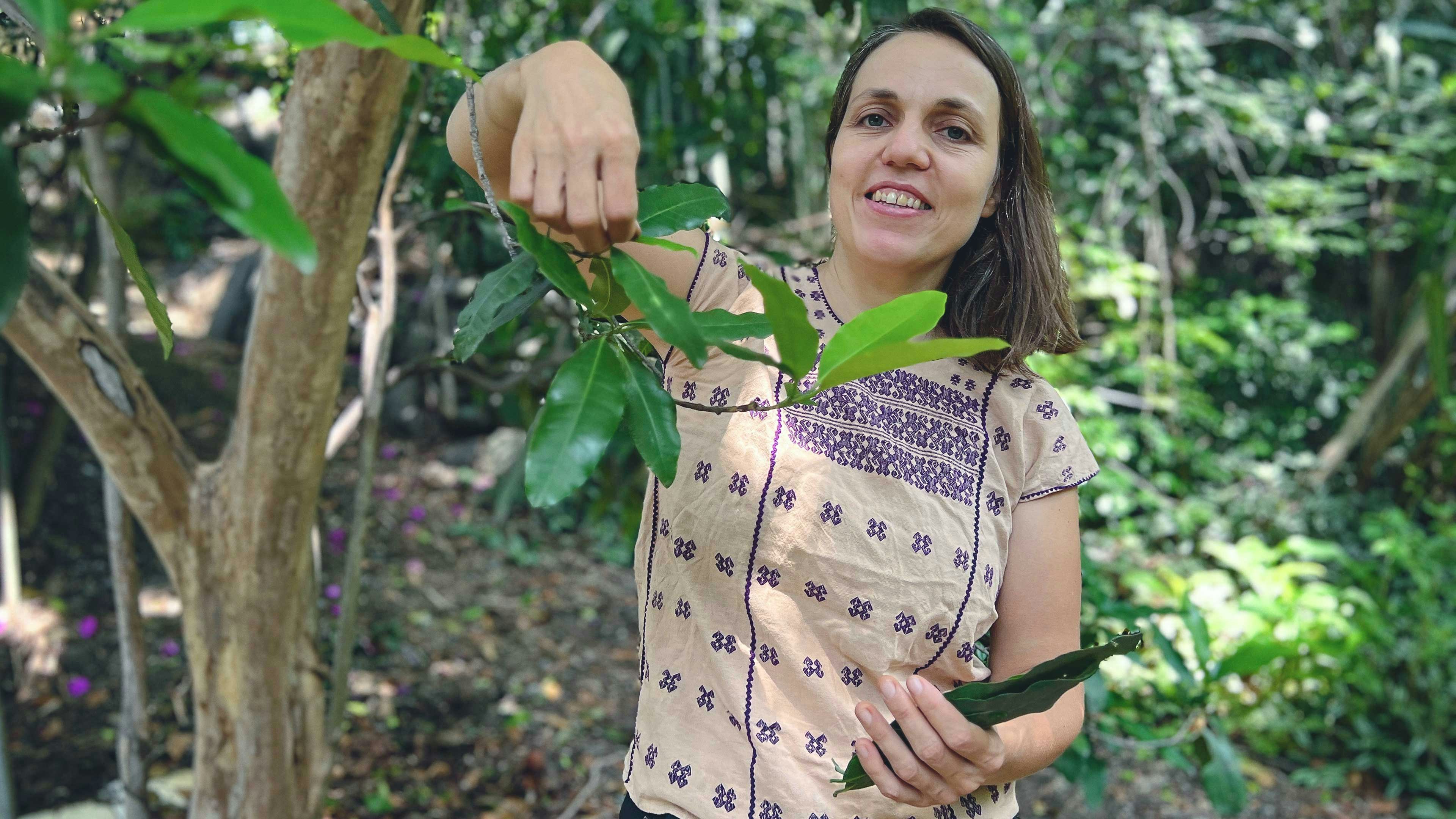 Gastronomy of East Morelos with Paola
