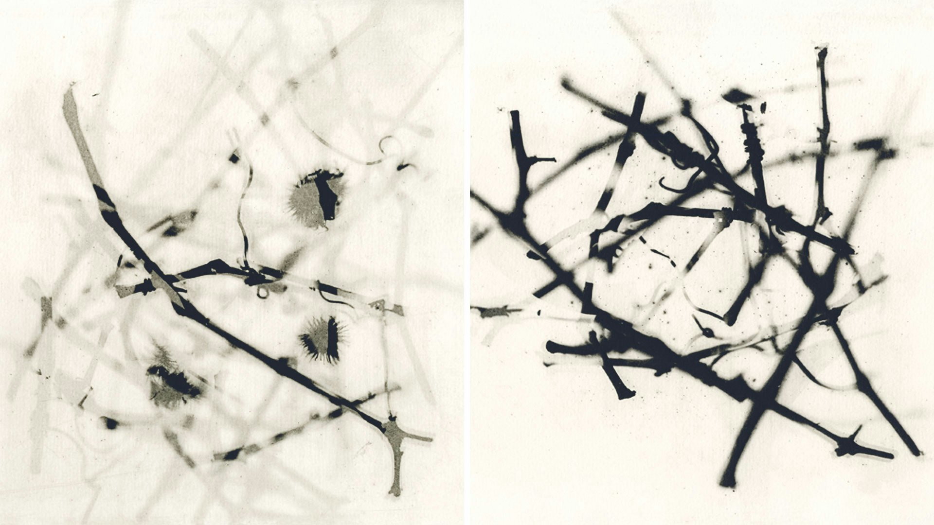 Monochrome printmaking artwork made with silkscreen and drypoint techniques. Learn how to make your own printmaking projects with Roser, in Barcelona, Spain. #creativevacation #vawaa  #europe #barcelona #creativity #printmaking #printmakingtechniques #decorativepaper #papercrafts #homedecor #slowtravel  #howtomake