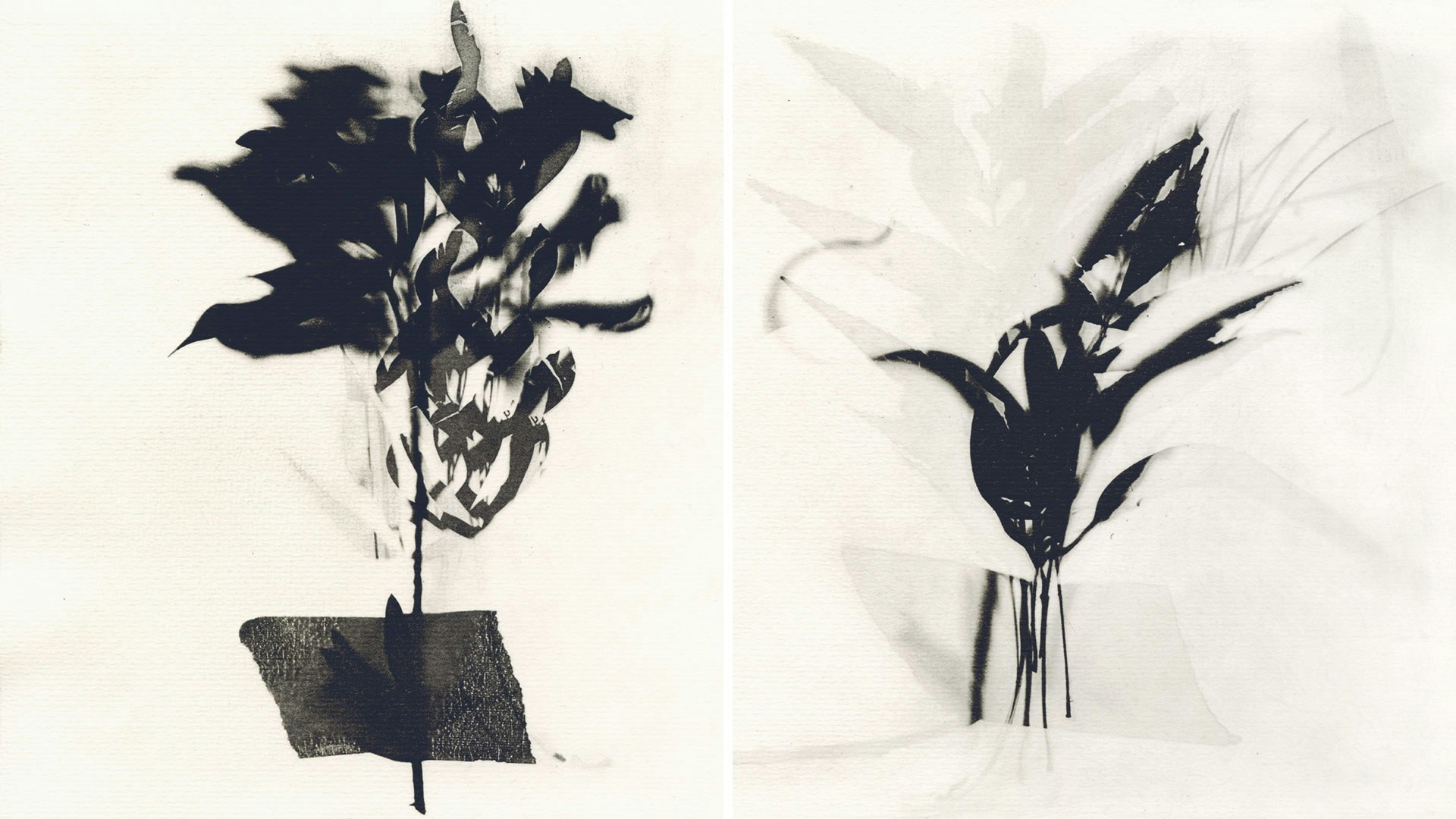 Monochrome printmaking artwork made with silkscreen and drypoint techniques. Learn how to make your own printmaking projects with Roser, in Barcelona, Spain. #creativevacation #vawaa  #europe #barcelona #creativity #printmaking #printmakingtechniques #decorativepaper #papercrafts #homedecor #slowtravel  #howtomake