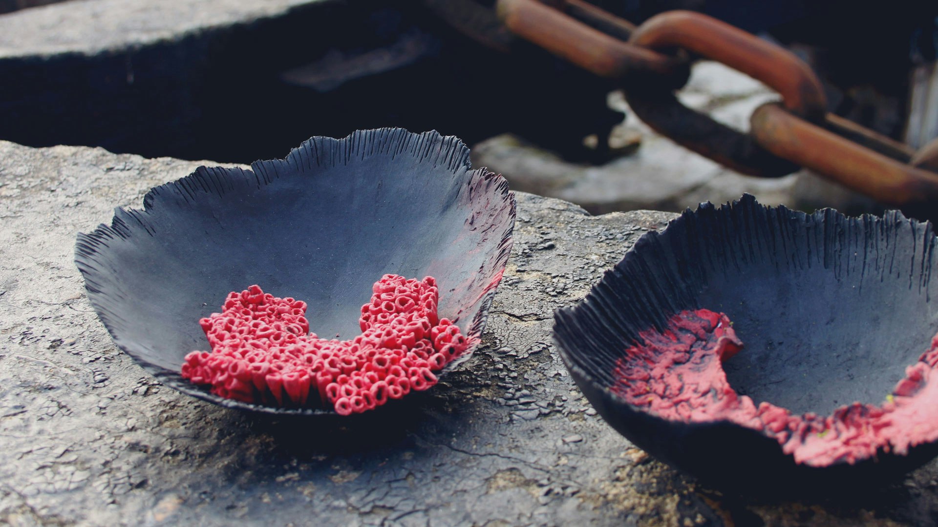 Black & Red Coral Themed Decorative Bowl Made from Clay & Porcelain. Learn the technique from Belgian Ceramic Artist, Mie.  #creativevacation #vawaa #discoverbelgium #claypottery #europe #belgium #ceramicsidea #claycrafts #ceramicart #art #creativity #porcelain
