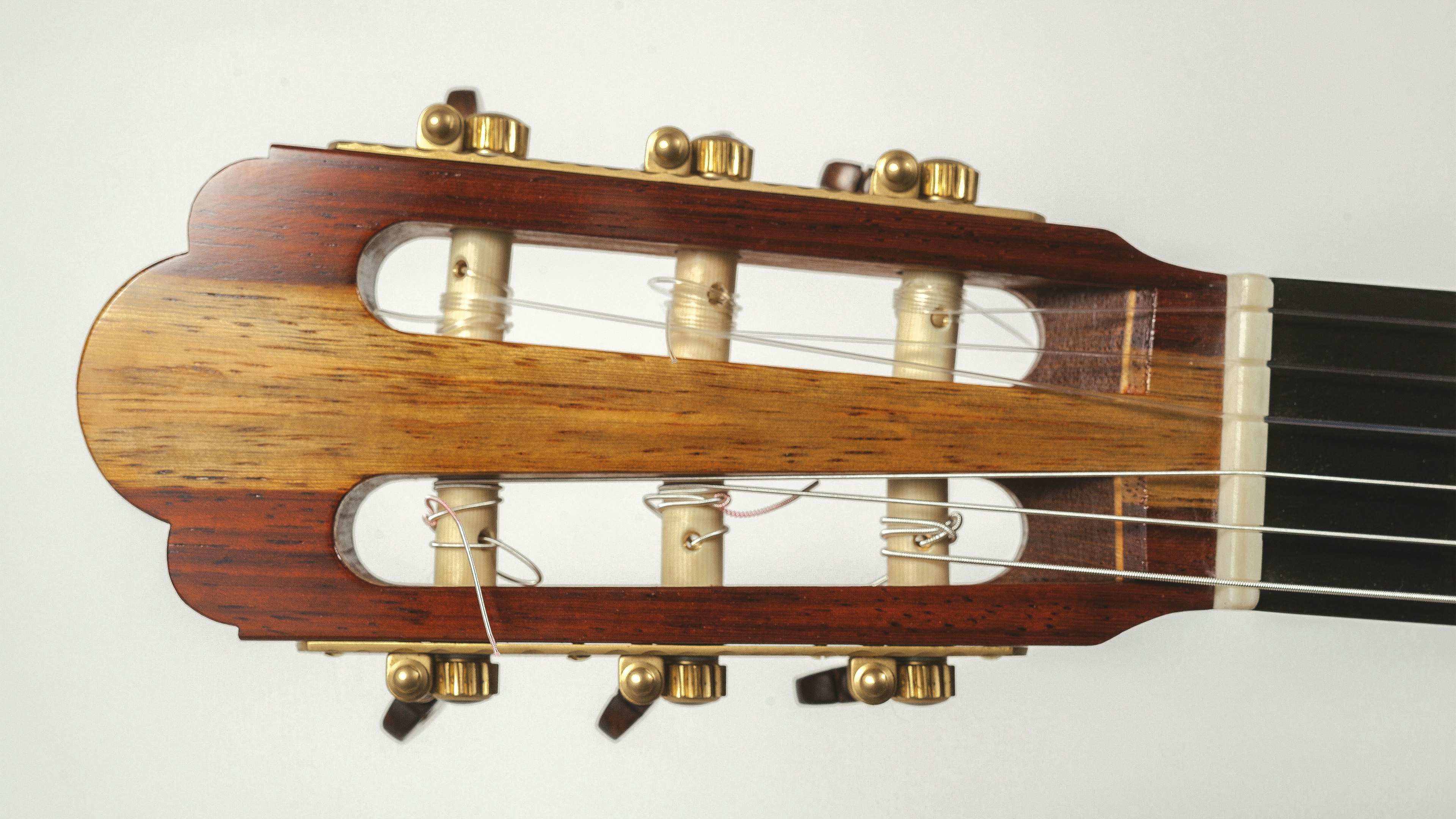 Learn Guitar and Stringed Musical Instrument Making with Paul in ...