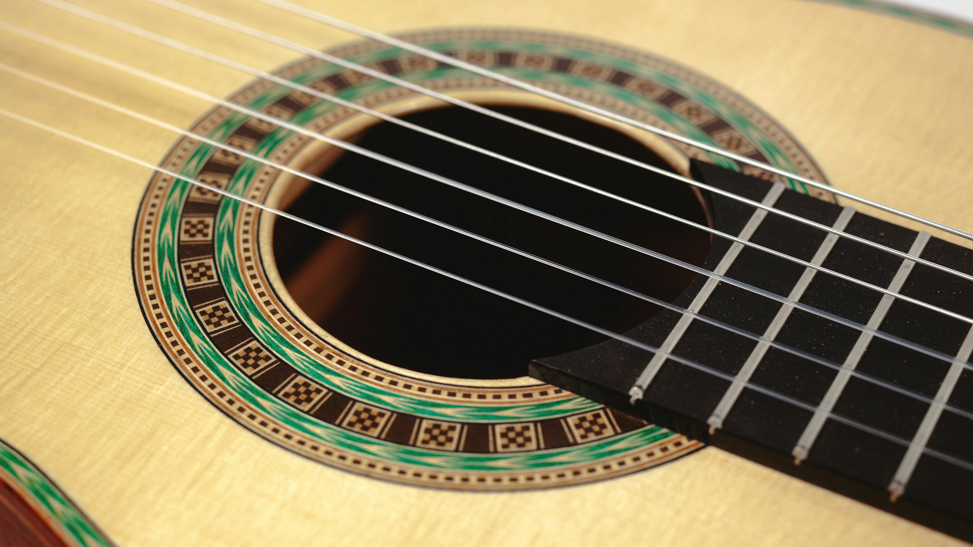 Learn Guitar and Stringed Musical Instrument Making with Paul in ...