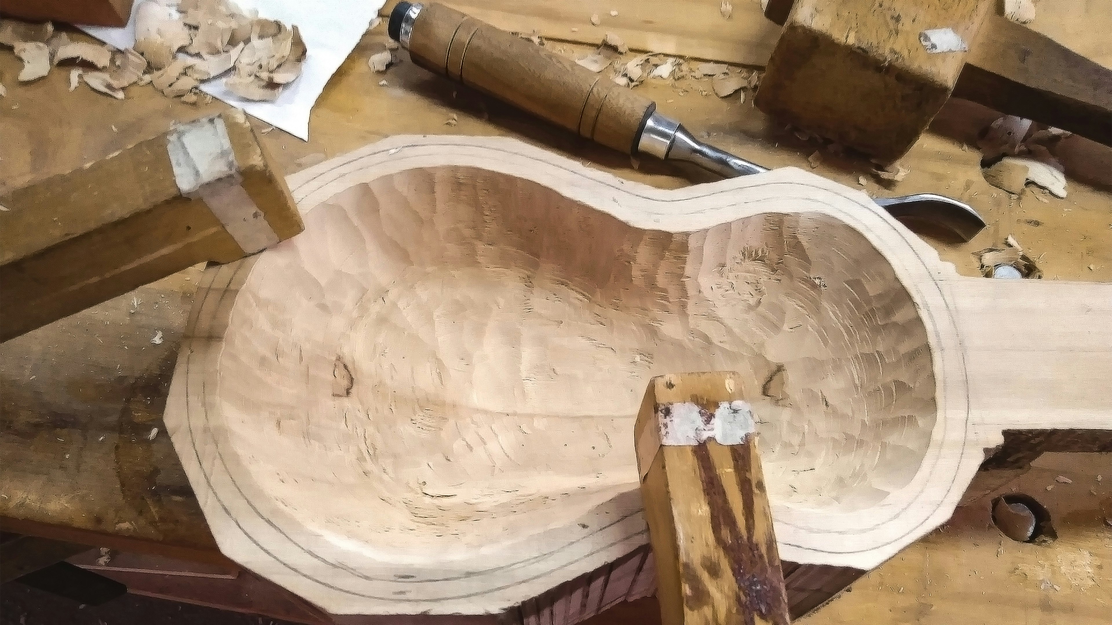Learn Guitar and Stringed Musical Instrument Making with Paul in ...