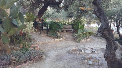 Relax in Mariana's peaceful garden and estate in Crete.