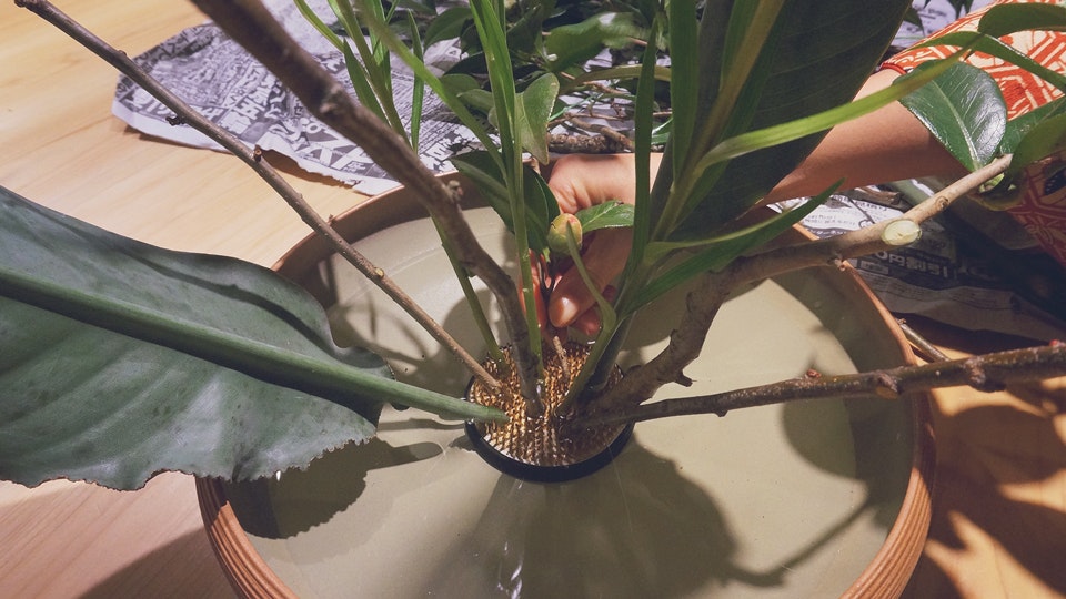 Use fresh flowers for your Ikebana creations.