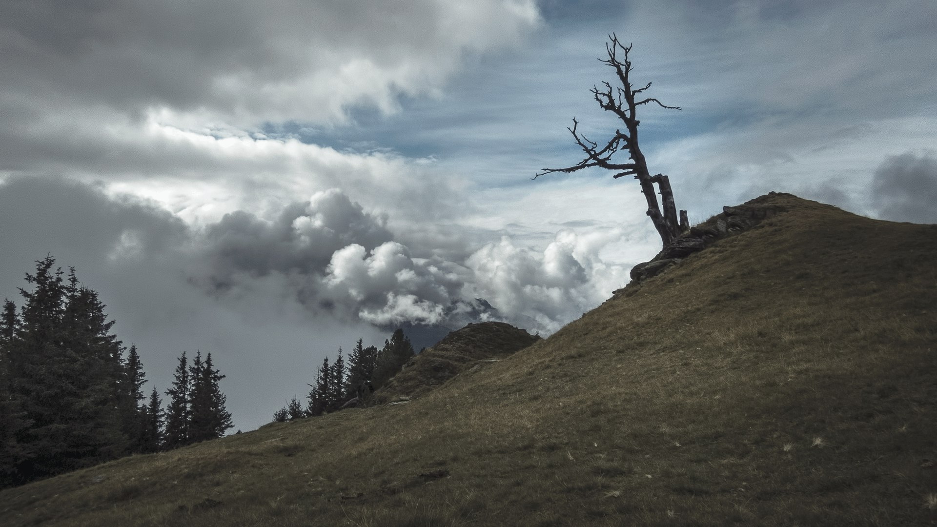 Photography & hiking | Travel experience and photography workshop in Spain via VAWAA - Vacation with an Artist #photography #art #learn #skills #spain #artist #photographer #lessons #creativevacation #vawaa