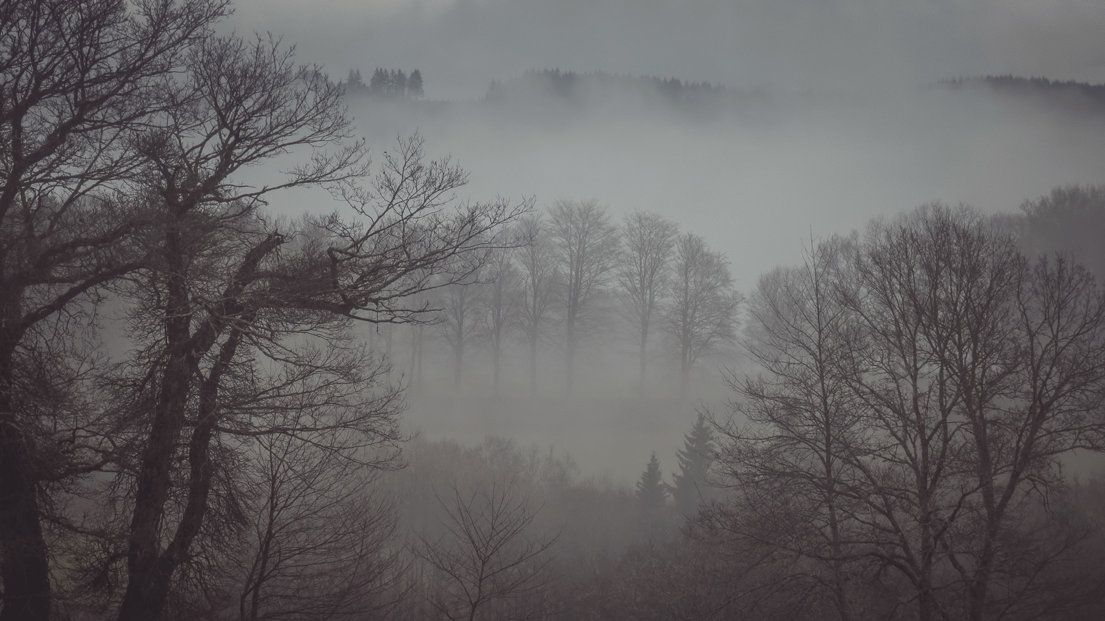 Forest after the storm | Landscape photography by Tomas via  VAWAA - Vacation with an Artist #photography #art #learn #skills #spain #artist #photographer #lessons #creativevacation #vawaa