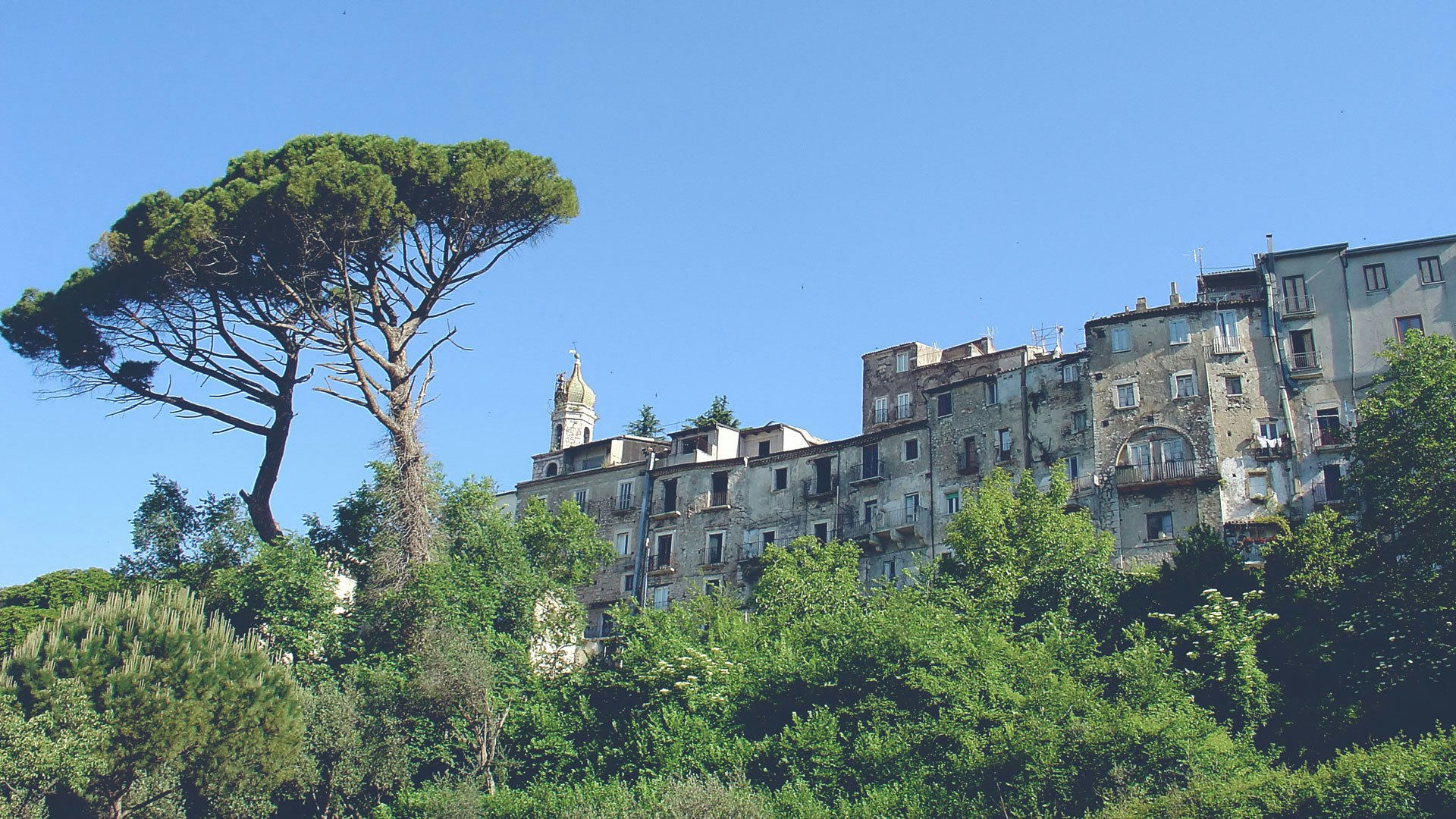 Exploring the beautiful, peaceful surroundings.