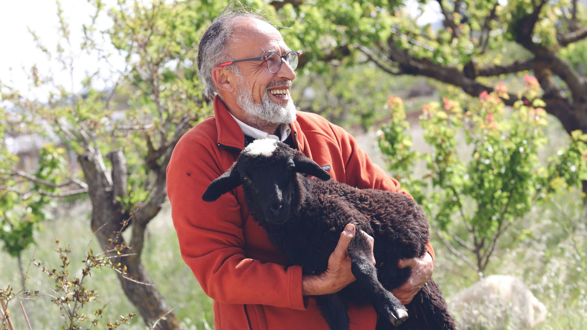 Manoocher and his family live on a sustainable estate with 