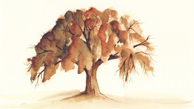 Painting of a tree in autumn colors by printmaking artist Colleen via VAWAA - Vacation with an Artist #printmaking #decorating #italy #travel #art #artist #design #architecture #vawaa #creativevacation