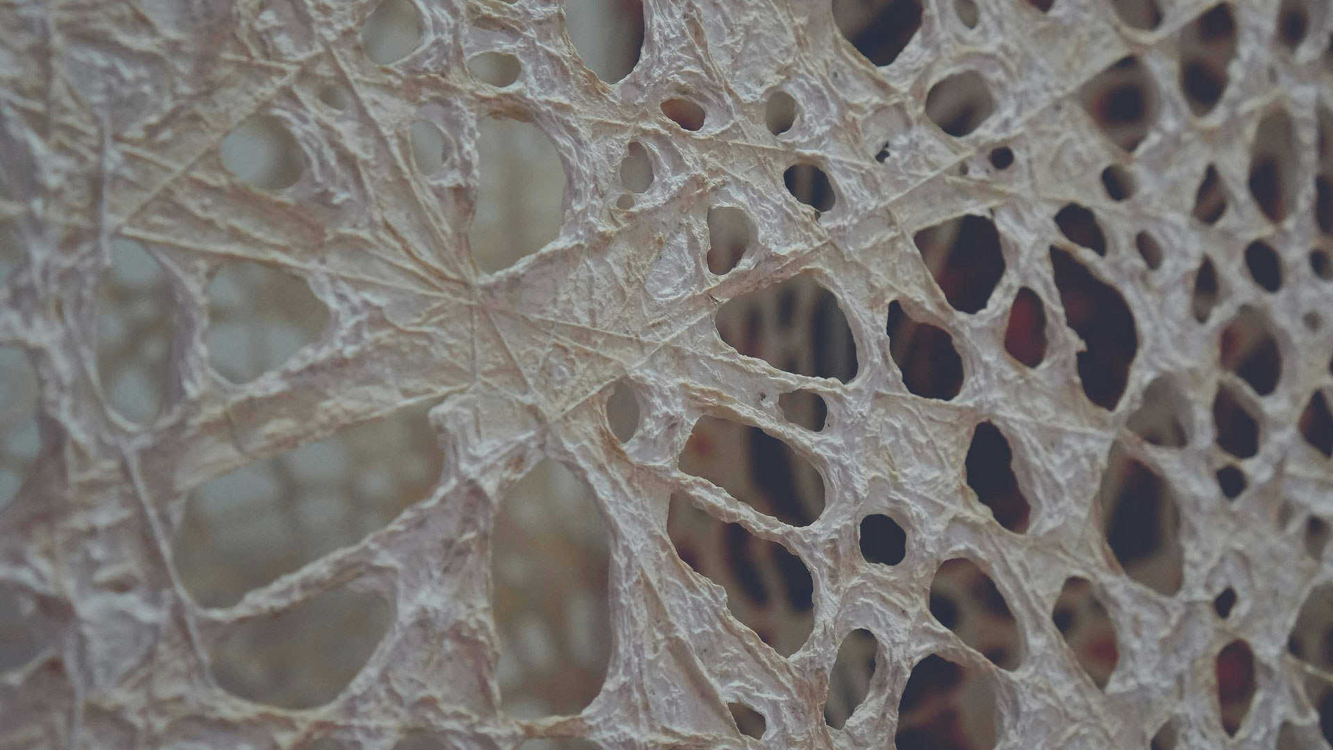 Intricate piece inspired by nature