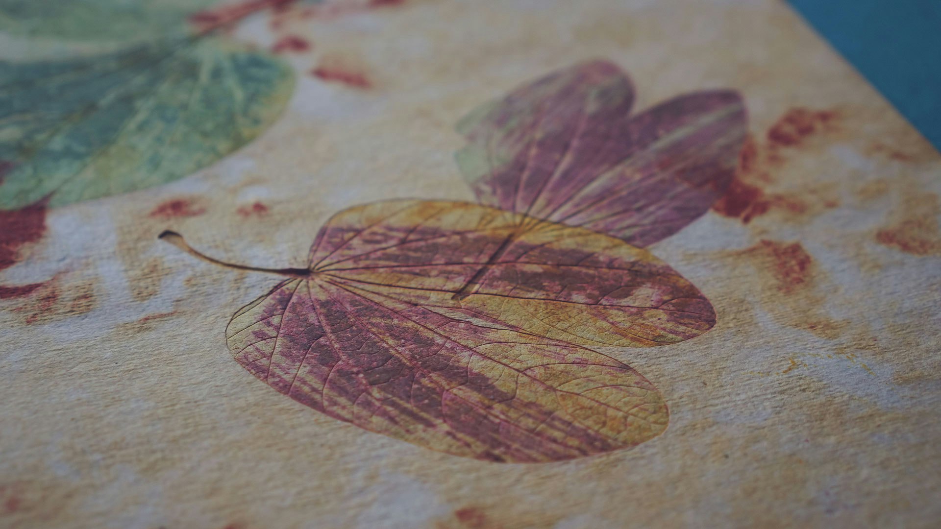 Prints inspired by nature