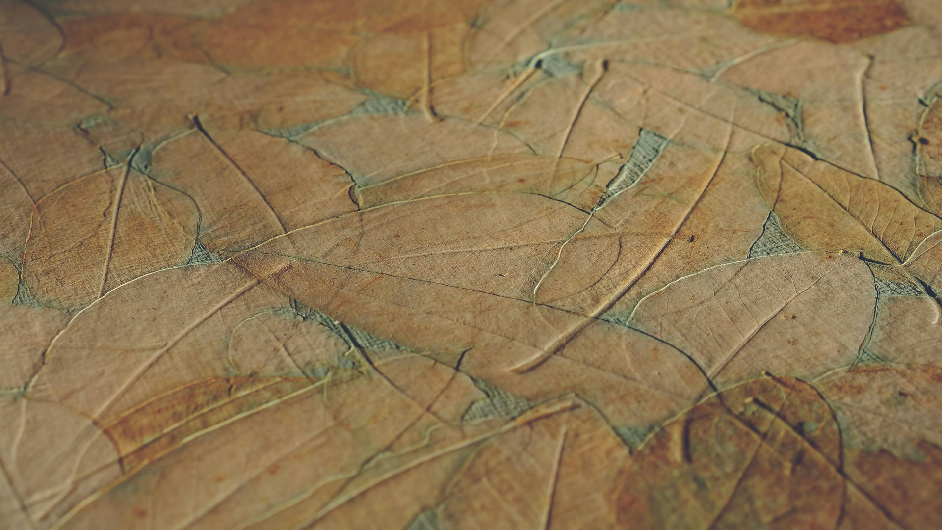 Leaf designs
