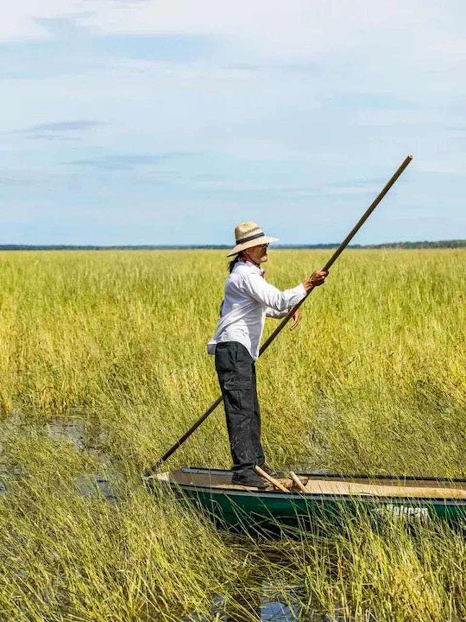 Wild rice harvesting